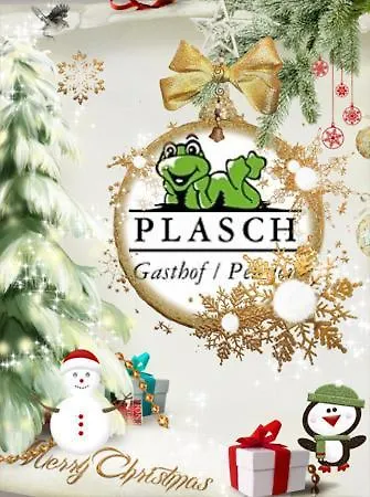 Гостевой дом Plasch